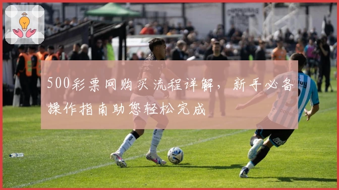 500彩票网购买流程详解,新手必备操作指南助您轻松完成