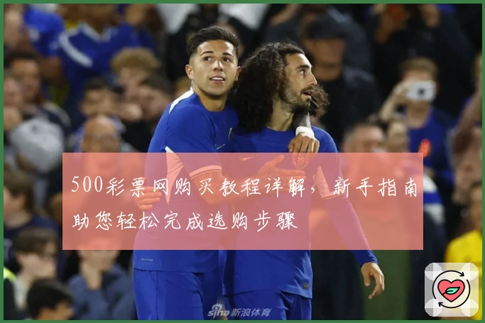500彩票网购买教程详解，新手指南助您轻松完成选购步骤