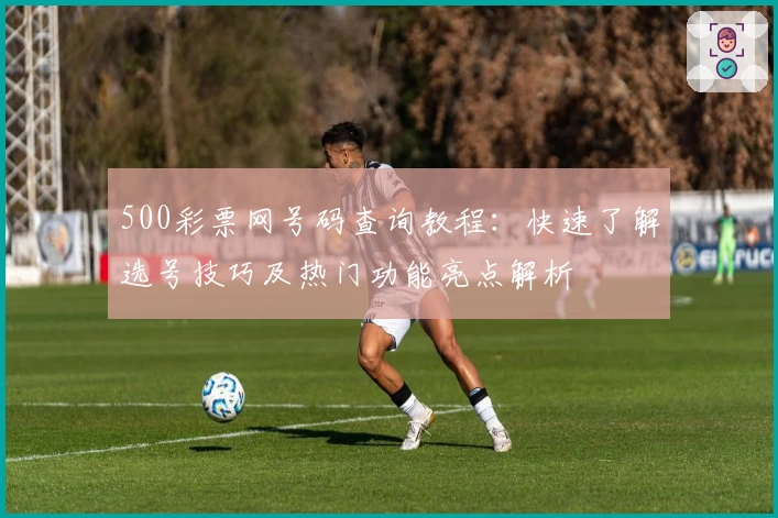 500彩票网号码查询教程:快速了解选号技巧及热门功能亮点解析