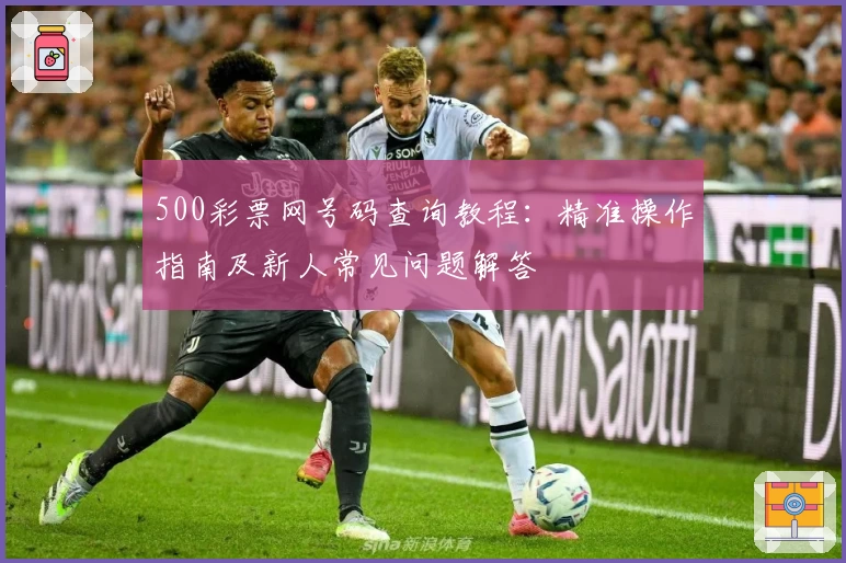 500彩票网号码查询教程:精准操作指南及新人常见问题解答
