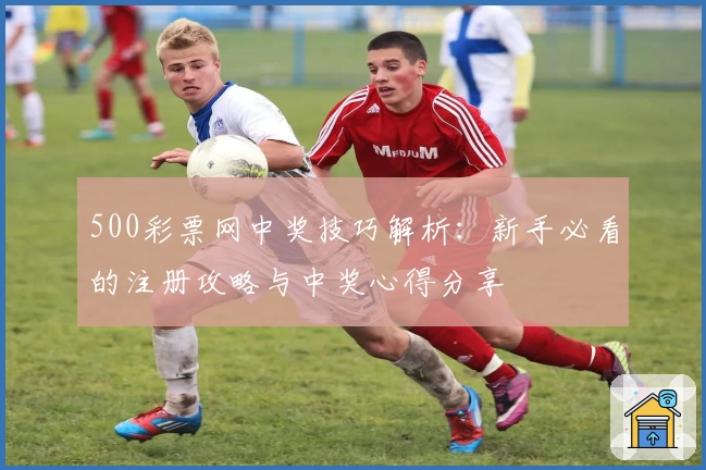 500彩票网中奖技巧解析：新手必看的注册攻略与中奖心得分享