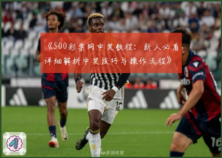 《500彩票网中奖教程:新人必看,详细解析中奖技巧与操作流程》