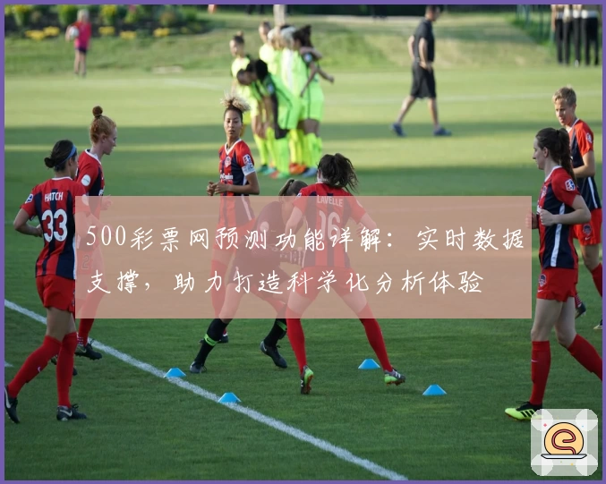 500彩票网预测功能详解：实时数据支撑，助力打造科学化分析体验