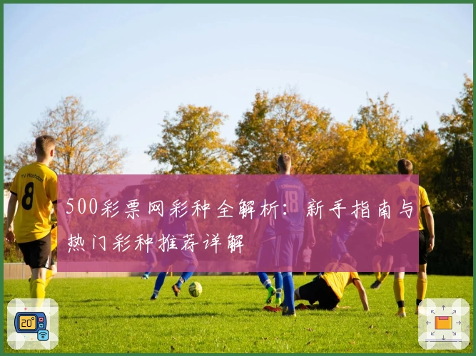 500彩票网彩种全解析：新手指南与热门彩种推荐详解